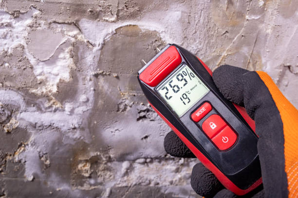 Best Mold Testing and Inspection Services in Meadows Place, TX